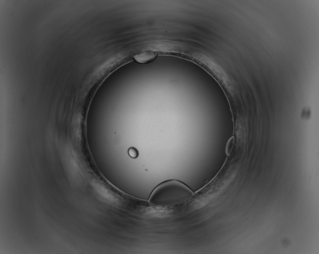 X0000102480445200808081309
