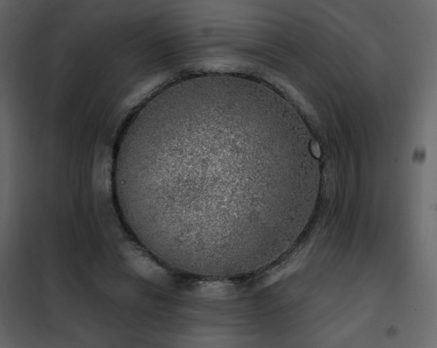 X0000102480446200808081309