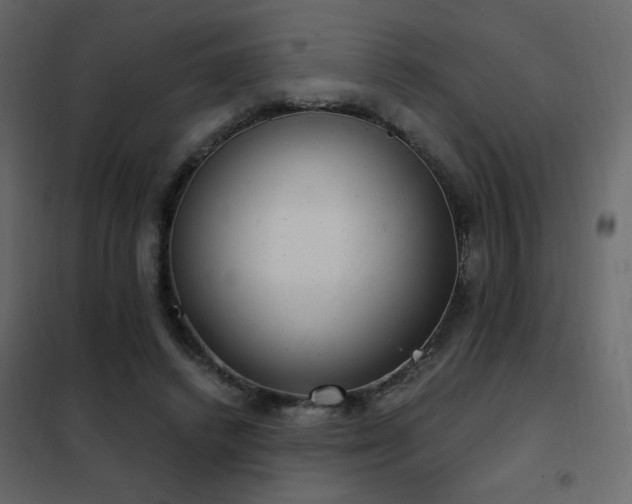 X0000102480448200808081309