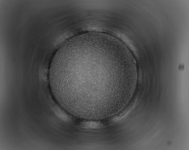 X0000102480449200808081309