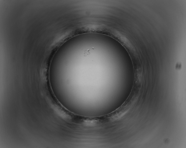 X0000102480450200808081309