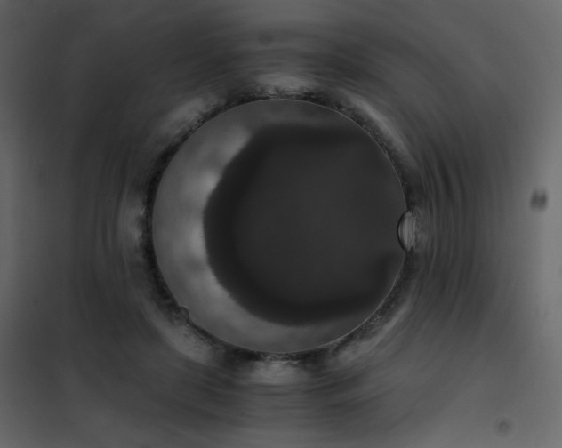 X0000102480451200808081309