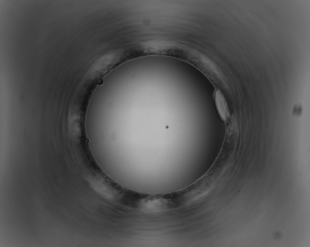 X0000102480452200808081309