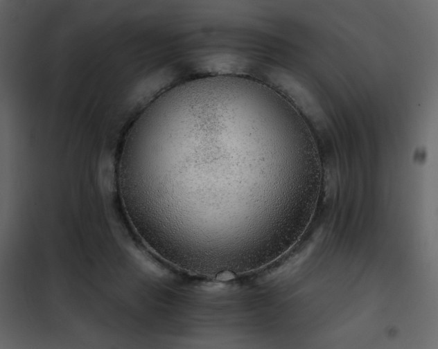 X0000102480453200808081309