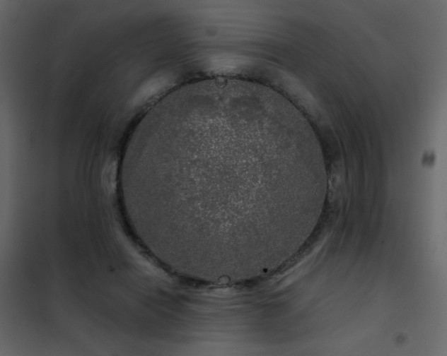 X0000102480454200808081309
