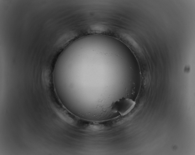 X0000102480455200808081309