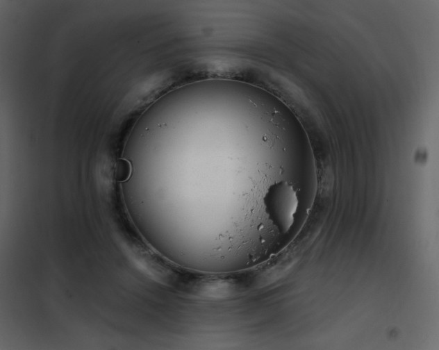 X0000102480456200808081309