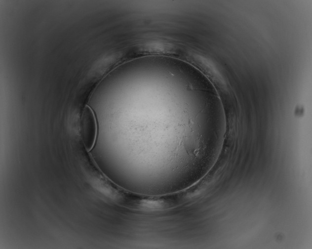 X0000102480457200808081309