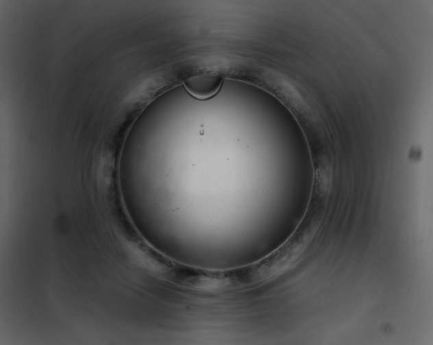 X0000102480458200808081309