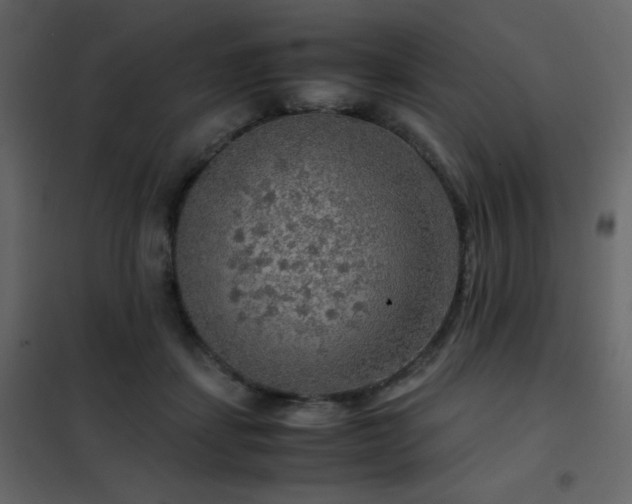 X0000102480459200808081309
