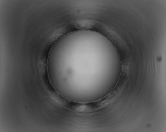 X0000102480460200808081309