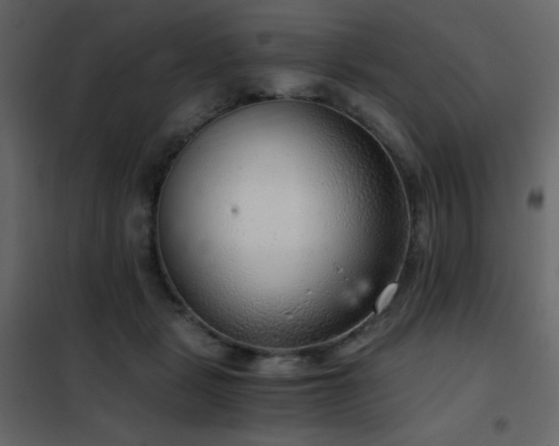 X0000102480461200808081309
