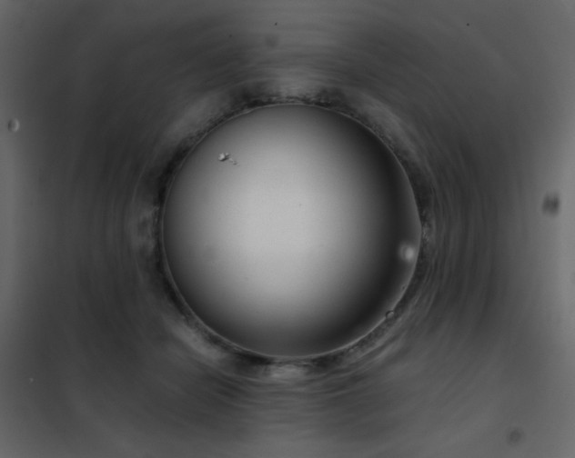 X0000102480462200808081309