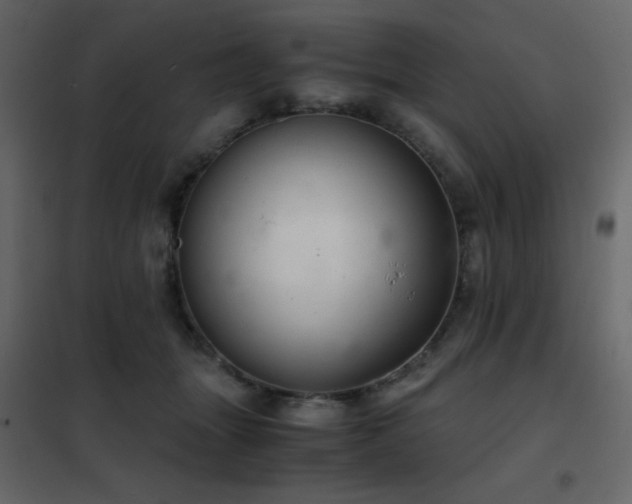 X0000102480463200808081309