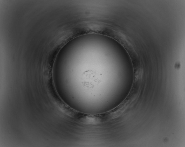 X0000102480464200808081309