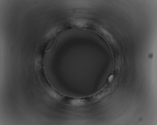X0000102480465200808081309