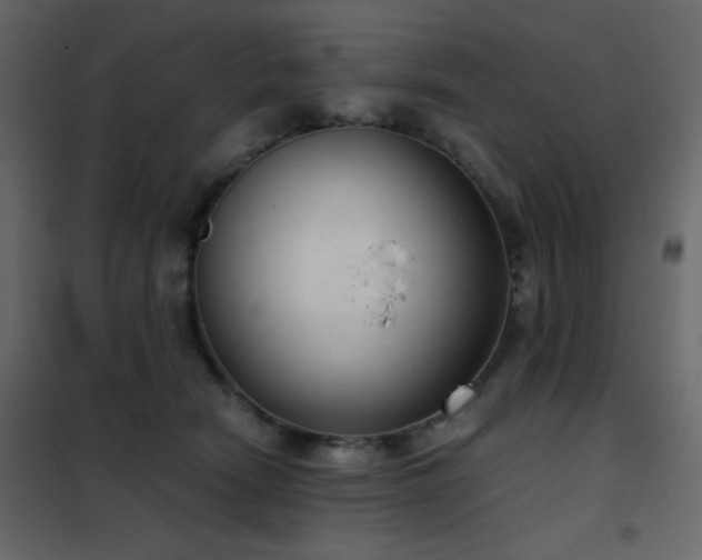 X0000102480466200808081309