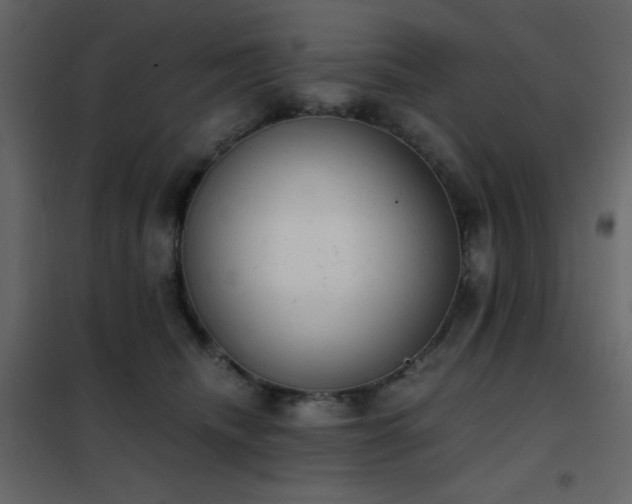 X0000102480468200808081309