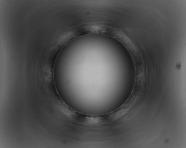 X0000102480469200808081309