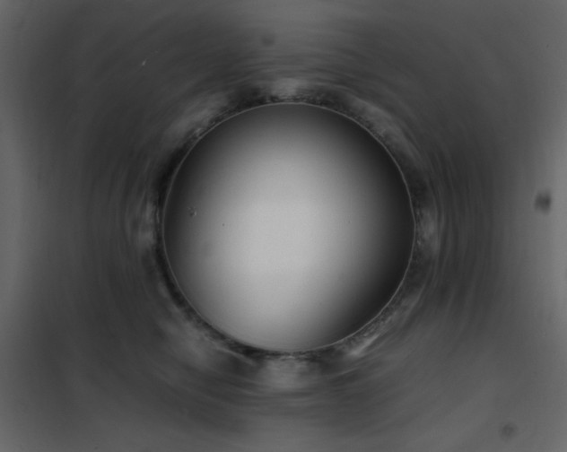 X0000102480470200808081309