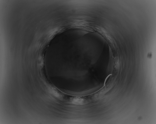 X0000102480471200808081309