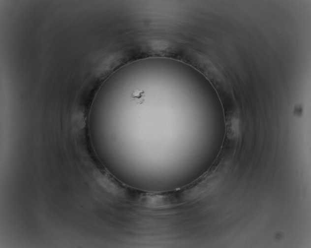 X0000102480472200808081309