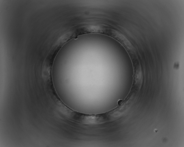 X0000102480473200808081309
