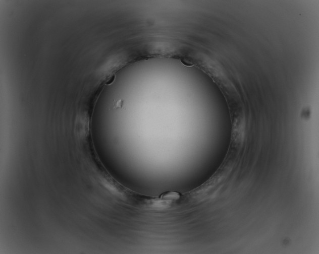 X0000102480474200808081309