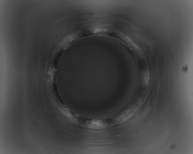 X0000102480475200808081309