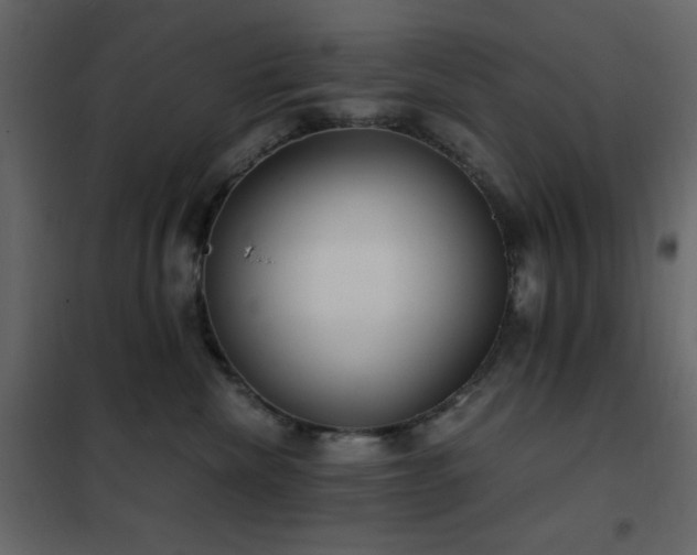 X0000102480476200808081309