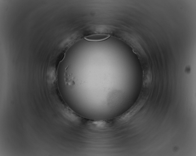 X0000102480478200808081309