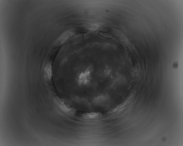 X0000102480479200808081309