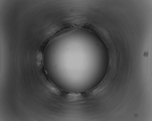 X0000102480480200808081309