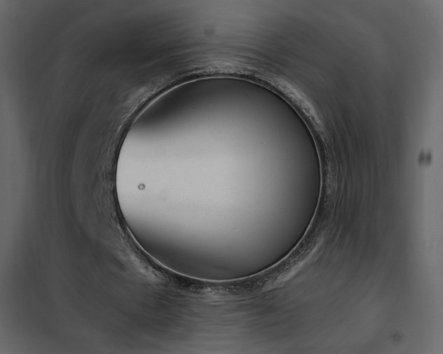 X0000102480481200808081308