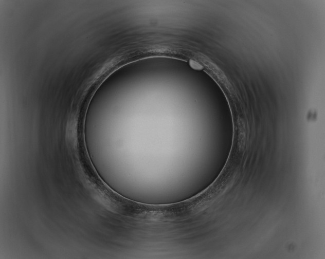 X0000102480482200808081308