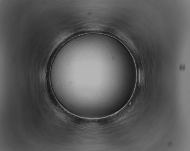 X0000102480483200808081308