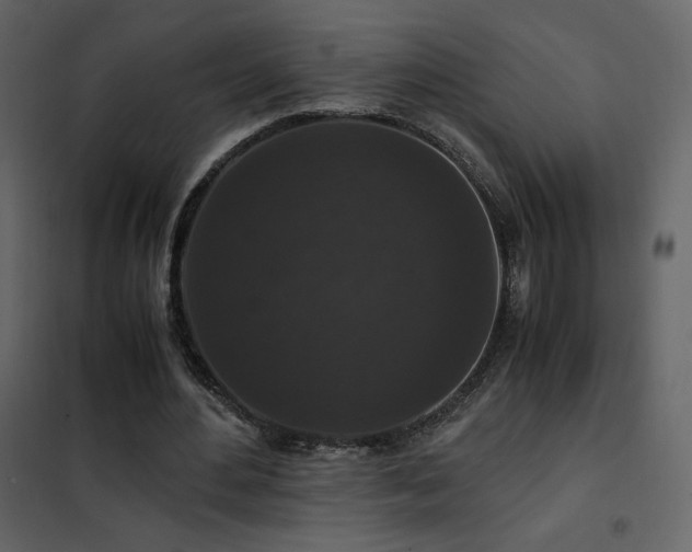 X0000102480484200808081308