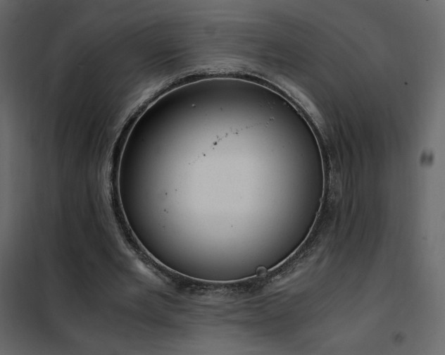 X0000102480485200808081308