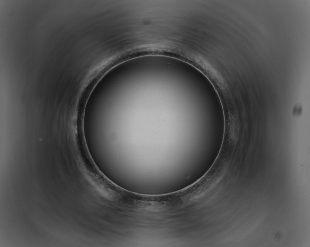 X0000102480486200808081308