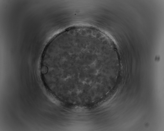 X0000102480487200808081308