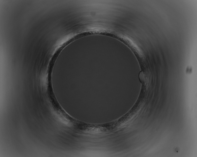 X0000102480488200808081308