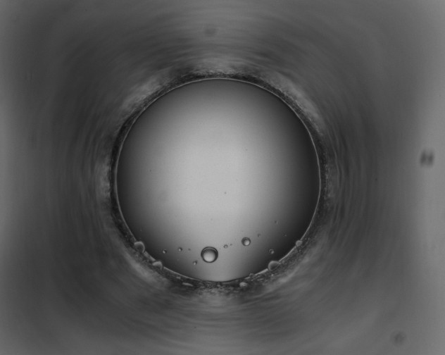 X0000102480489200808081308