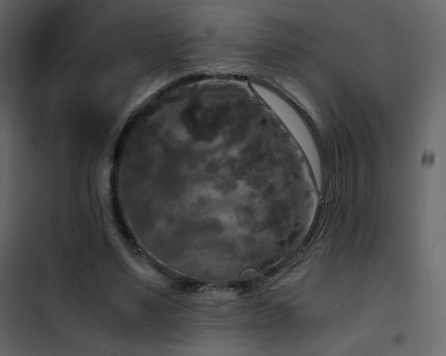 X0000102480491200808081308
