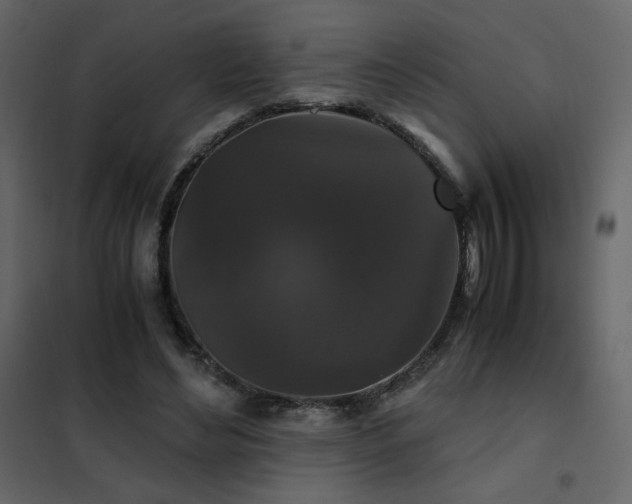 X0000102480492200808081308