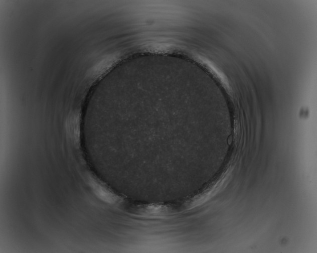 X0000102480493200808081308