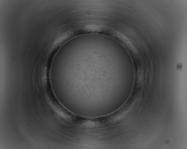 X0000102480494200808081308