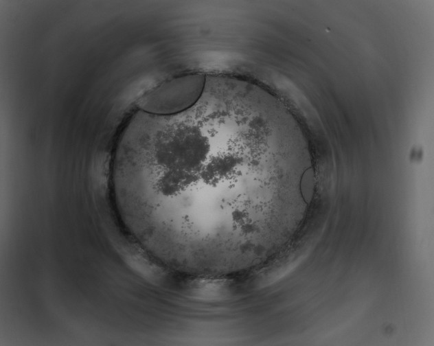 X0000102480495200808081308