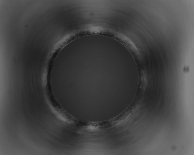 X0000102480496200808081308