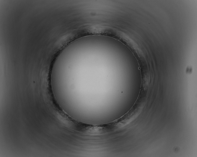 X0000102480497200808081308