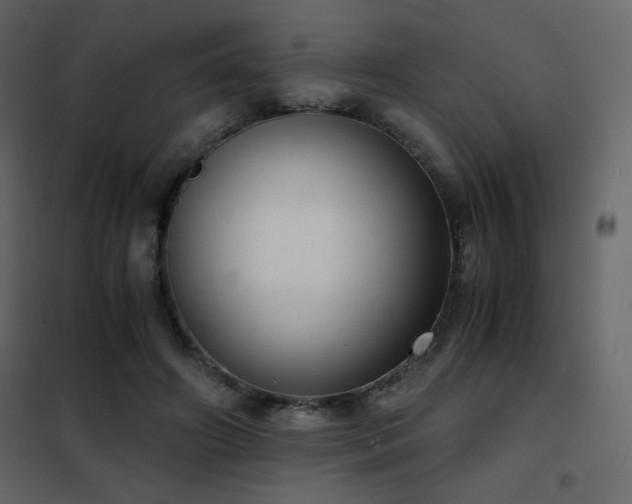 X0000102480498200808081308